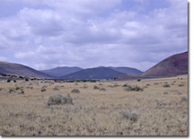 Alpine Ranches Flagstaff