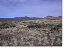 Alpine Ranches Real Estate